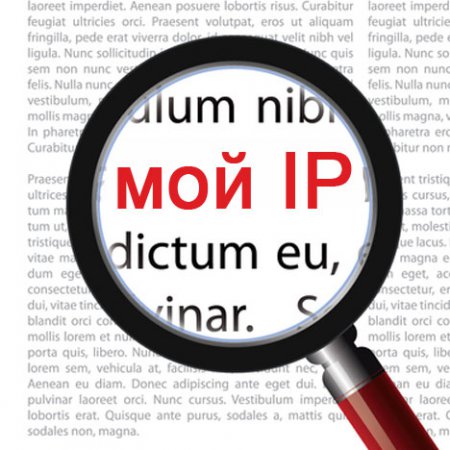 Как узнать свой IP адрес?